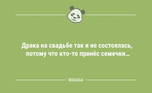 Смешные анекдоты для всех: «Драка на свадьбе так и не состоялась…» (10 шт)