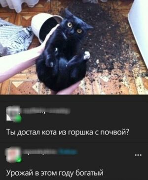 Готовьтесь к взрыву смеха и щекотке нервов!