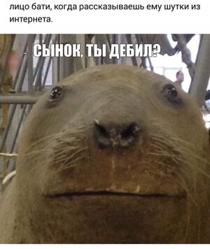 Устали от серости будней? Хочется от души посмеяться и забыть обо всем? Тогда вы по адресу!