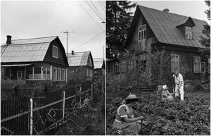 Как в СССР начали раздавать участки под дачи