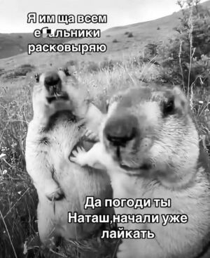 Пятница, ты ли это? 