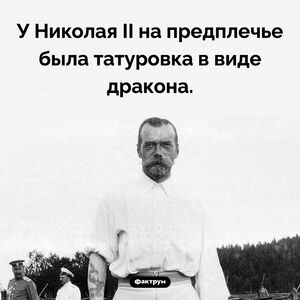Царь-батюшка с татуировкой дракона