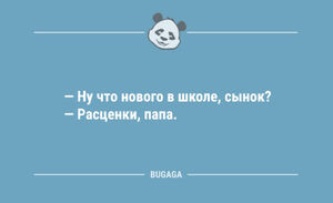 Анекдоты для предпятничного настроения: «Что нового в школе, сынок?» (10 шт)