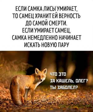 Лучшие мемы в одной большой подборке!