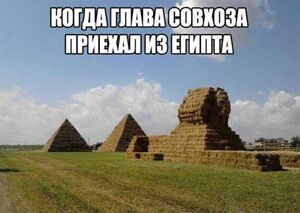 Большой сборник мемов и картинок с надписями на выходные