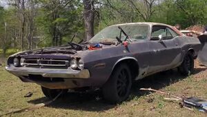 Редкий Dodge Challenger R/T 1971 года нашли спустя 40 лет простоя