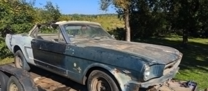 Редкий кабриолет Ford Mustang 1964 года найден спустя десятилетия