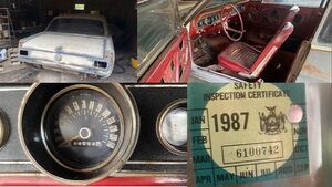 Редкий Ford Mustang 1966 года простоял в гараже почти 40 лет