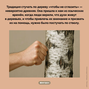 Откуда пошла традиция стучать по дереву