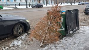 Штрафы во дворах: почему парковка у дома стала опасной