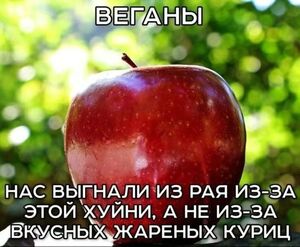 Понедельник – не приговор, а повод для улыбки! 