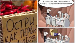 Острый перец: не только для пикантности, но и полезен для здоровья