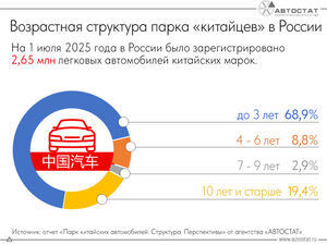 Примерно 70% «китайцев» в РФ имеют возраст не более 3 лет