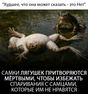 Сборник шуток и приколов, которые поднимут вам настроение
