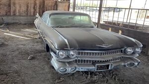 Редкий Cadillac 1959 года простоял в сарае два десятилетия и нашел новую хозяйку