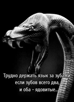 Пятница! Самый долгожданный день недели уже здесь, и мы готовы сделать его еще ярче! 