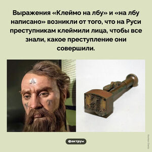 Происхождение фразы «Клеймо на лбу»