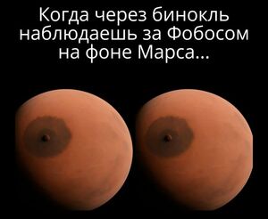 Выходные на позитиве: ваш личный сборник мемов и картинок с надписями!