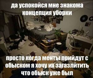 Большой сборник мемов и картинок с надписями для отличного настроения!