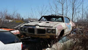 На заброшенной автосвалке Мичигана нашли редкие маслкары и Pontiac GTO Judge