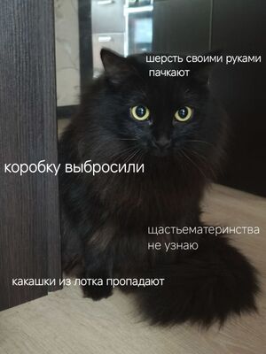 Утро начинается с улыбки! ☀️