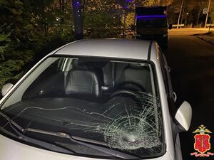 Двойной наезд на пешеходном переходе: трагедия в Отрадном