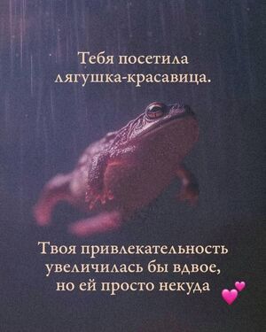 Выходные уже на пороге, а значит, время для смеха!