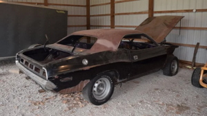 Редкий Dodge Challenger R/T 1970 года в цвете Plum Crazy ищет нового владельца