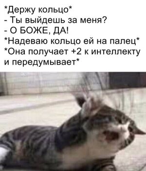 Взрыв позитива гарантирован! Ловите свежую порцию лучших приколов!