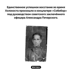 Единственное успешное восстание во время Холокоста
