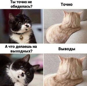 Утро начинается не с кофе, а с порции свежего юмора!