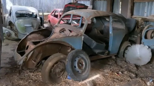 Редкие Volkswagen Beetle обнаружены на заброшенном участке в глубинке