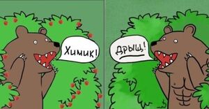 Интересная история одной травли