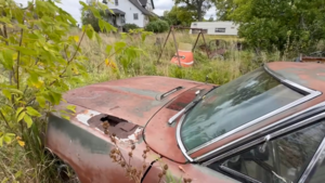 Редкий Plymouth Road Runner 1970 года найден на заброшенном острове в Канаде