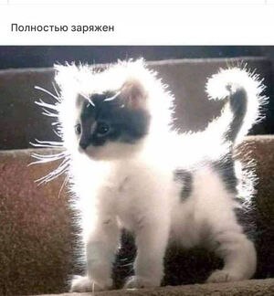 Фотоприколы дня: «Полностью заряжен» (23 фото)