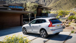 Владелец Volvo подал в суд после необычного инцидента с собакой и багажником
