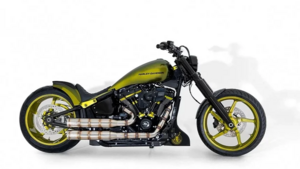 Harley-Davidson Calumma: необычный кастом, вдохновленный хамелеоном, но без смены цвета