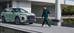 Hongqi ворвался в тройку лидеров премиум-брендов Петербурга по продажам