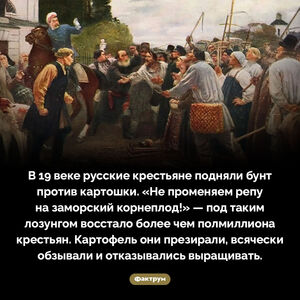Бунт против картошки