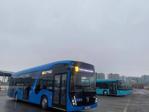 Продажи новых автобусов в России рухнули вдвое за год