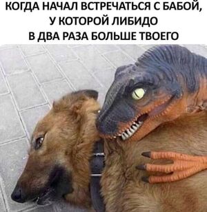 Свежайшая порция мемов и комментов из сети! 