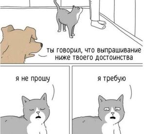 Огромная порция самых уморительных картинок и мемов