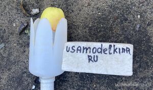 Приспособление для сбора яблок и груш (плодосборник) очень быстро своими руками