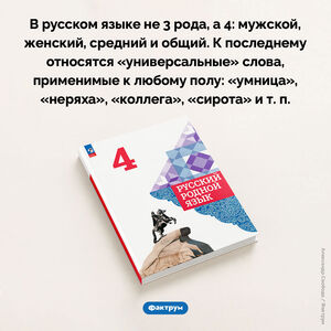 В русском языке не 3 рода, а 4