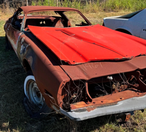 Ржавчина угрожает редкому Firebird 1975 года — срочно ищут нового владельца
