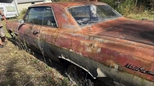 Владелец продает Chevrolet Malibu 1965 года после 35 лет хранения в гараже