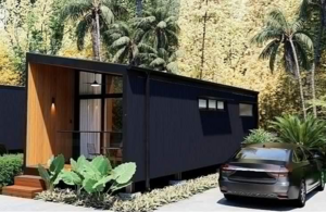 Raglan Tiny Home: новый взгляд на комфорт и природу в модульном доме