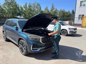 Стали известны лидеры серого импорта с льготным утильсбором