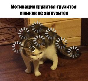 Доброе утро, позитивные люди! ☀️