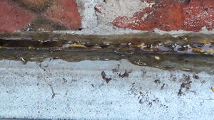 Самодельный клей для шифера